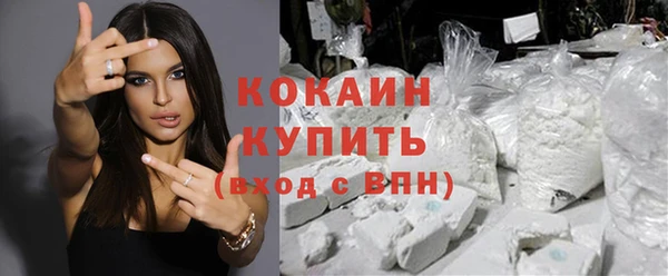 дживик Навашино