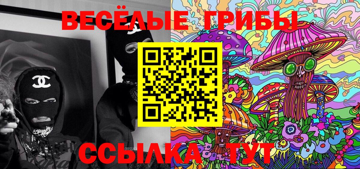 Псилоцибиновые грибы Psilocybine cubensis Отрадный