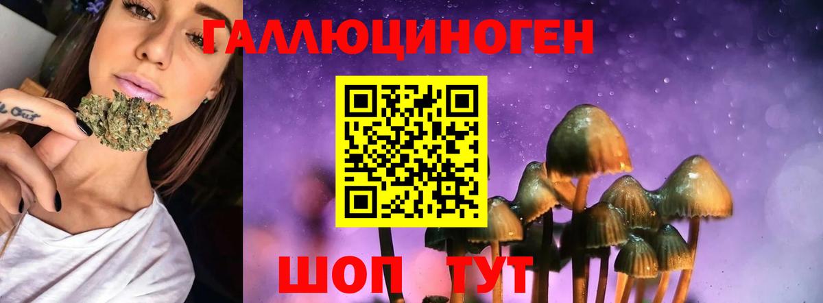 Псилоцибиновые грибы прущие грибы  Галлюциногенные грибы Cubensis  где найти   Вход с VPN  Отрадный 