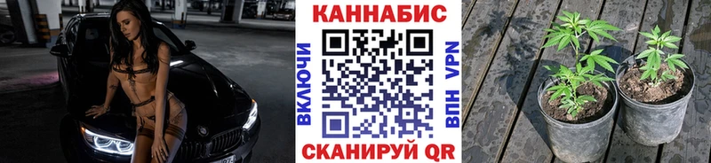 купить наркотик Отрадный Бошки Шишки тримм